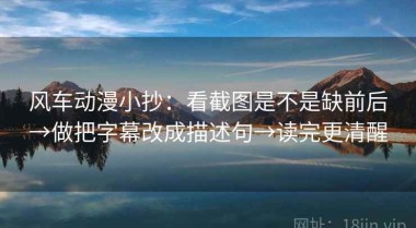 风车动漫小抄：看截图是不是缺前后→做把字幕改成描述句→读完更清醒