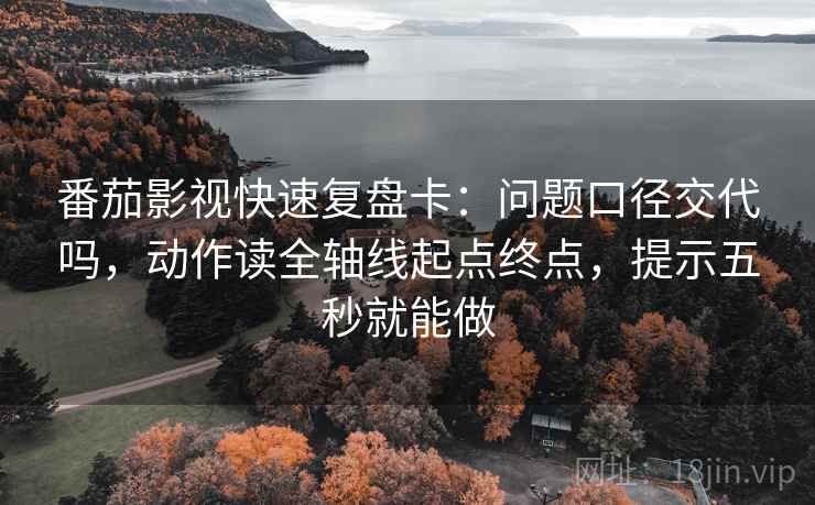 番茄影视快速复盘卡：问题口径交代吗，动作读全轴线起点终点，提示五秒就能做